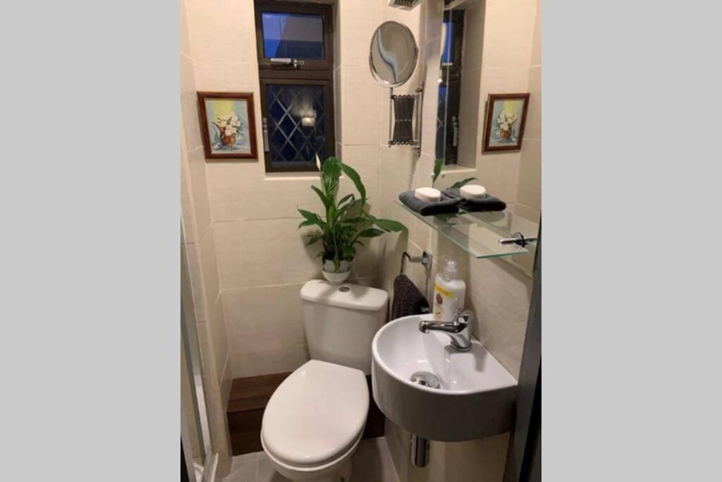 Upstairs Studio - Private Kitchenette And Small En-Suite Dublin Dış mekan fotoğraf