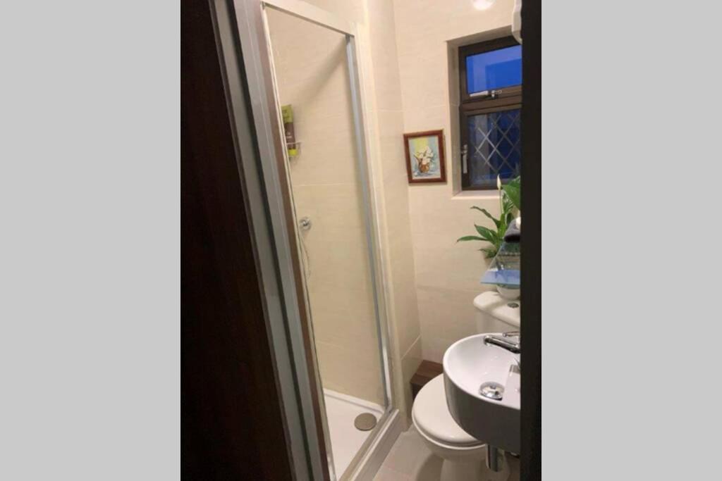 Upstairs Studio - Private Kitchenette And Small En-Suite Dublin Dış mekan fotoğraf